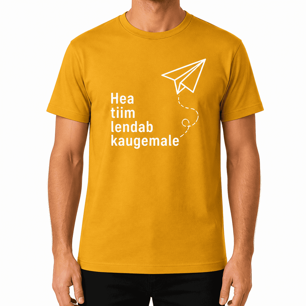 Kolleegi t-särk – Hea tiim lendab kaugemale
